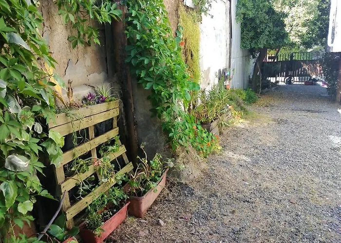 Hermoso Loft, Con Estacionamiento Gratuito