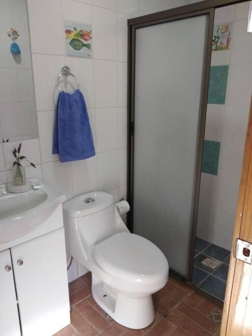 Apartamento Hermoso Loft, Con Estacionamiento Gratuito